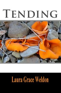 spiritual poetry, nature poems, 