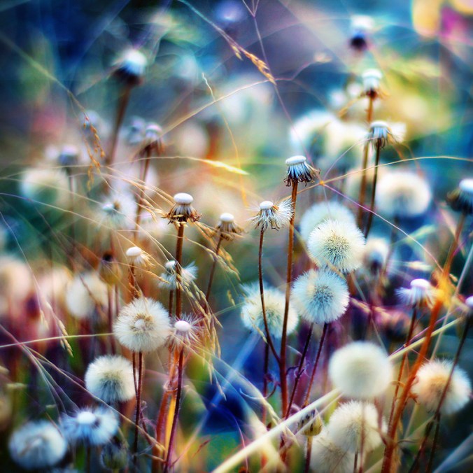 hurry, multi-tasking, paying attention, living each moment, conscious living, cherishing loved ones, 