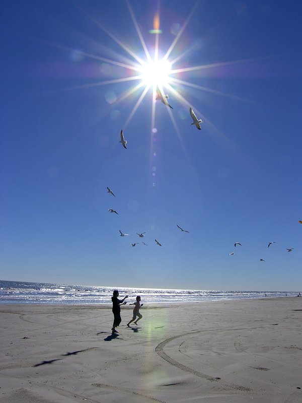 reducing parental stress, epigenics, improving the future,