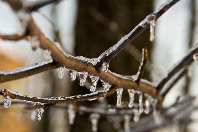 act of Christmas kindness, heartwarming Christmas, poor helping poor on Christmas, lesson of giving,