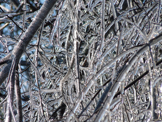 kindness turns around misery, heartwarming family Christmas, poor family Christmas gets better, 