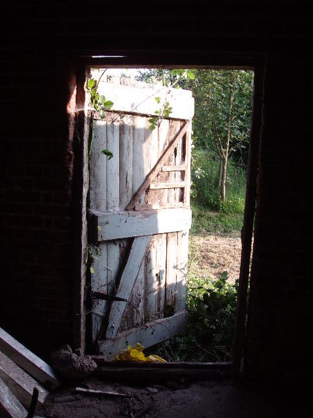 working with instead of against resistance, leading children, foster learning, non-compliant children, resistant children, non-coercion,