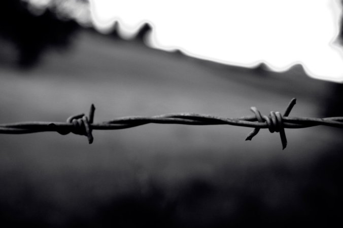 bullying leads to homeschooling, school violence, guns in school,