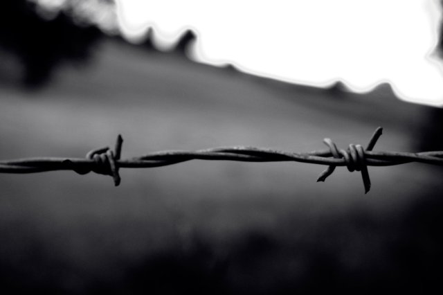 bullying leads to homeschooling, school violence, guns in school, 