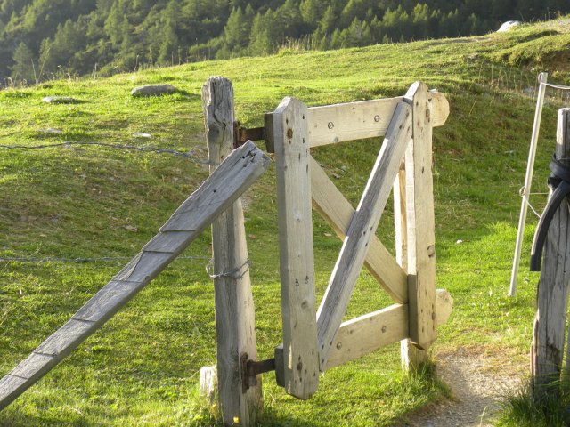 suddenly homeschooling, school versus homeschool, school violence, 