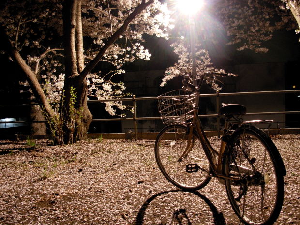 positive habits, joyous willpower, happy habits, 