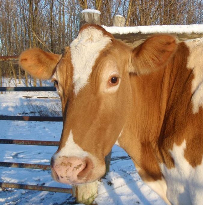 Isabelle. (Photo by Claire Weldon) 