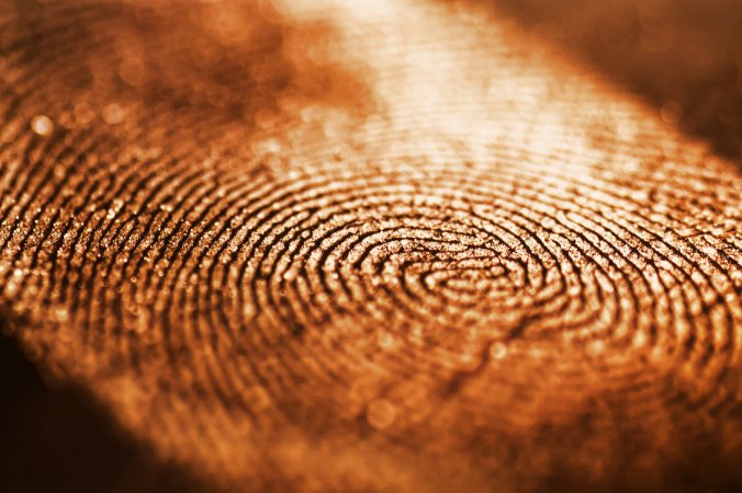 April tragedy, energy fingerprint, life energy, 