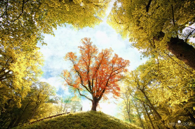 time capsule, memory jar, kids journals, kids about me book, 