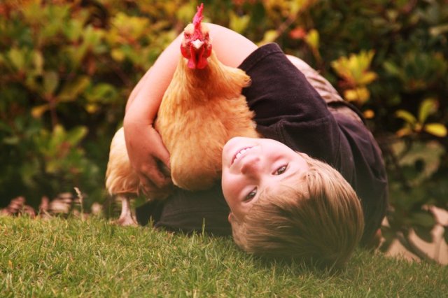 free range kids, free range learning, 