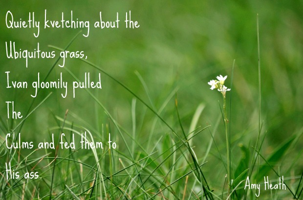 acrostic poem, Amy Heath, morguefile.com/archive/display/951061