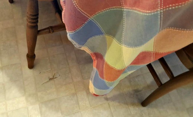 No, that's not a giant spider. Not dirt. Just a floor after years of service. 