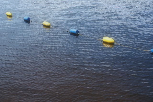 poem, Lake Erie shore 
