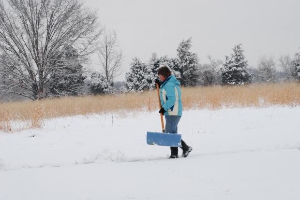 Good deed, good exercise. Image: Pippalou