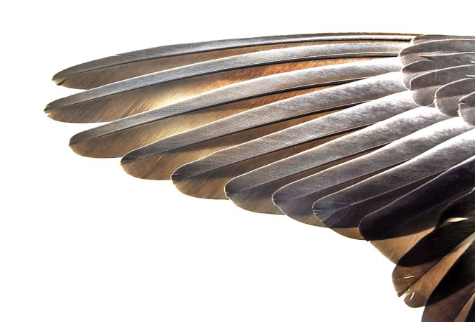 body awareness when recovering