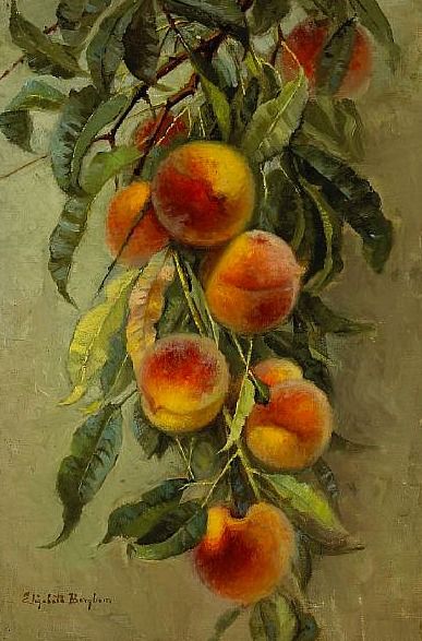 Peaches by Elizabeth Jaynes Borglum